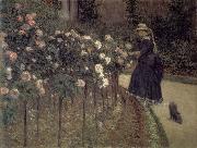 Gustave Caillebotte Roses-The Garden in Petit-Gennevilliers china oil painting artist